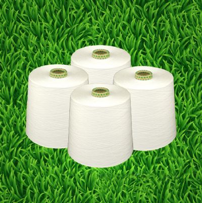 點(diǎn)擊查看詳細(xì)信息<br>標(biāo)題：竹纖維紗 閱讀次數(shù)：6398