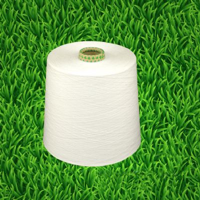 點(diǎn)擊查看詳細(xì)信息<br>標(biāo)題：竹纖維棉混紡紗 閱讀次數(shù)：5274